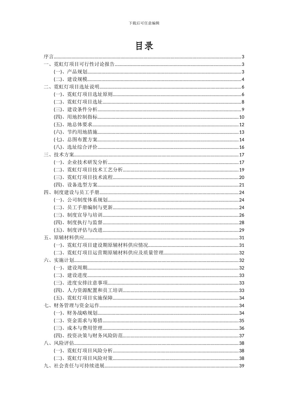 2024年霓虹灯项目投资分析及可行性报告_第2页