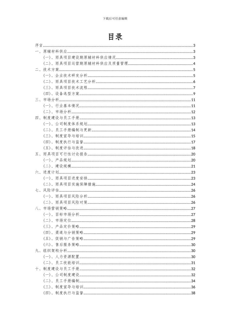 2024年雨具项目可行性研究报告_第2页
