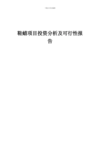 2024年鞋蜡项目投资分析及可行性报告