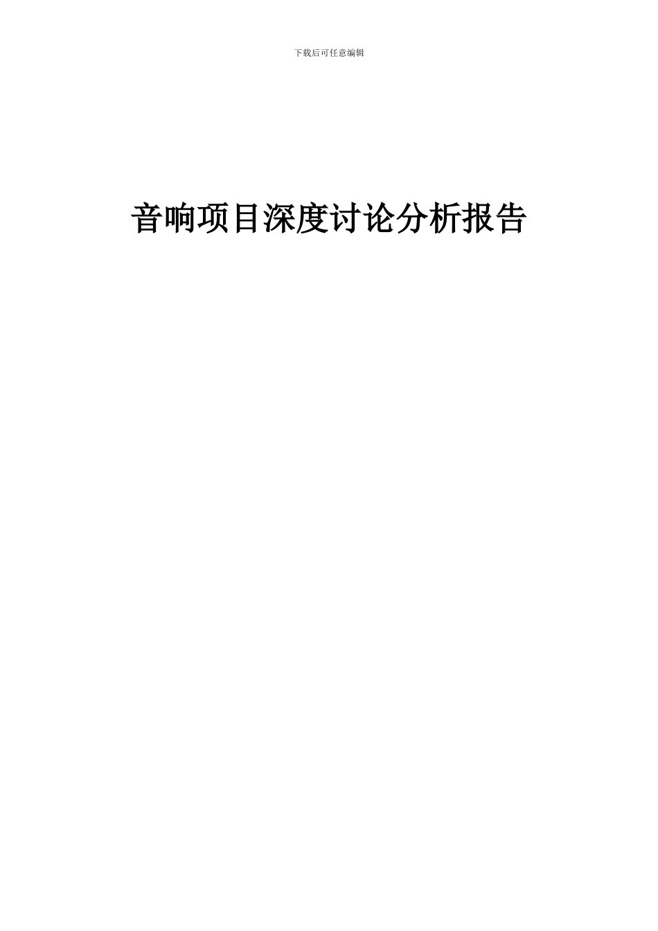 2024年音响项目深度研究分析报告_第1页
