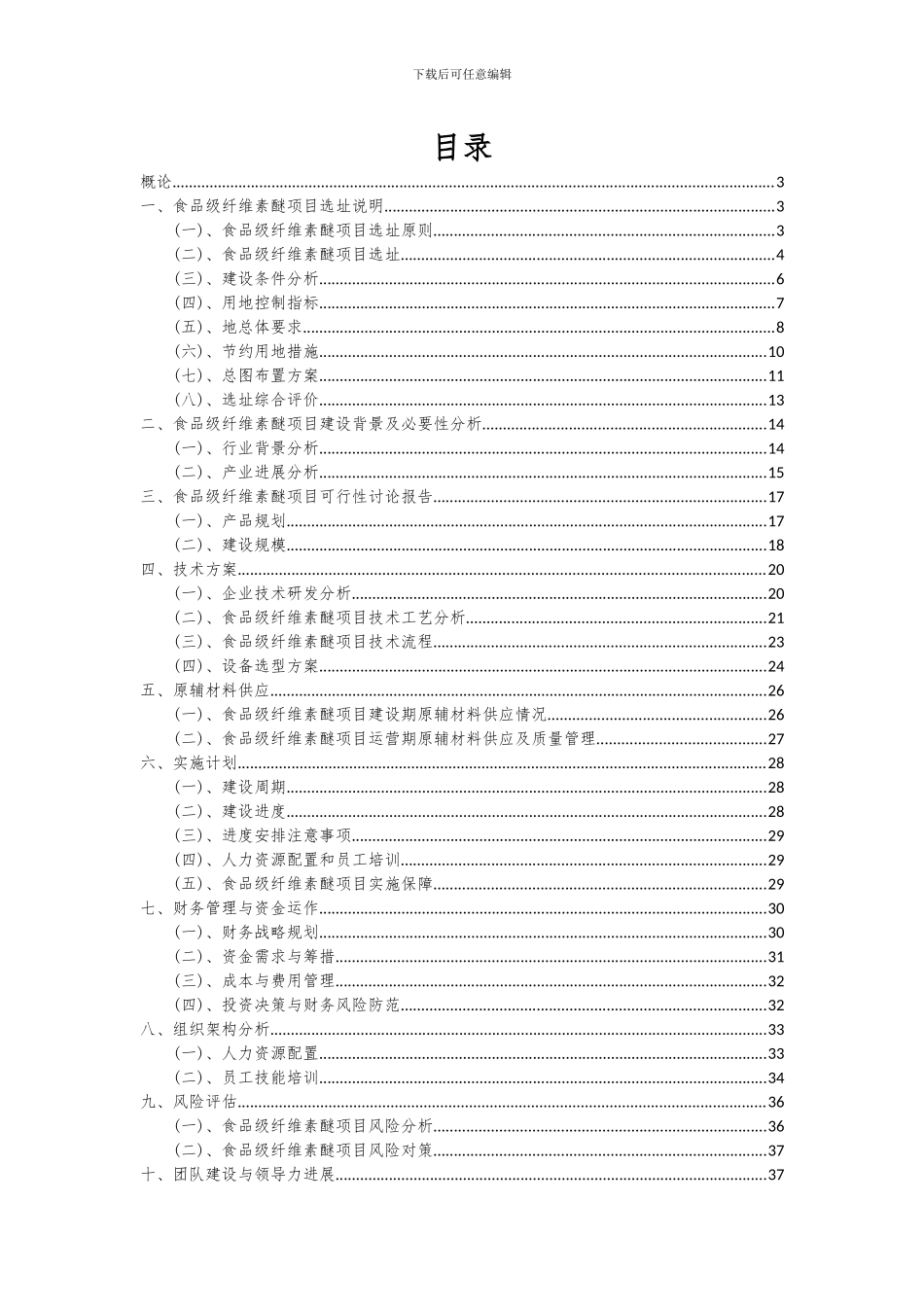 2024年食品级纤维素醚项目可行性分析报告_第2页