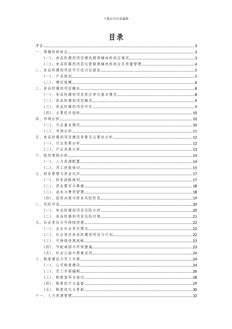 2024年食品防腐剂项目可行性研究报告_第2页