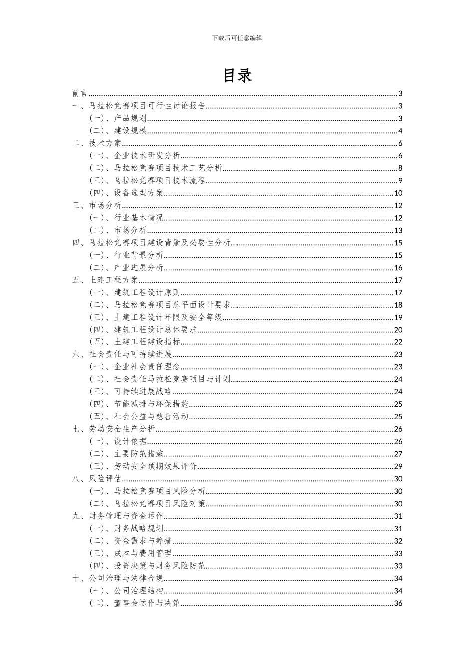 2024年马拉松比赛项目可行性研究报告_第2页