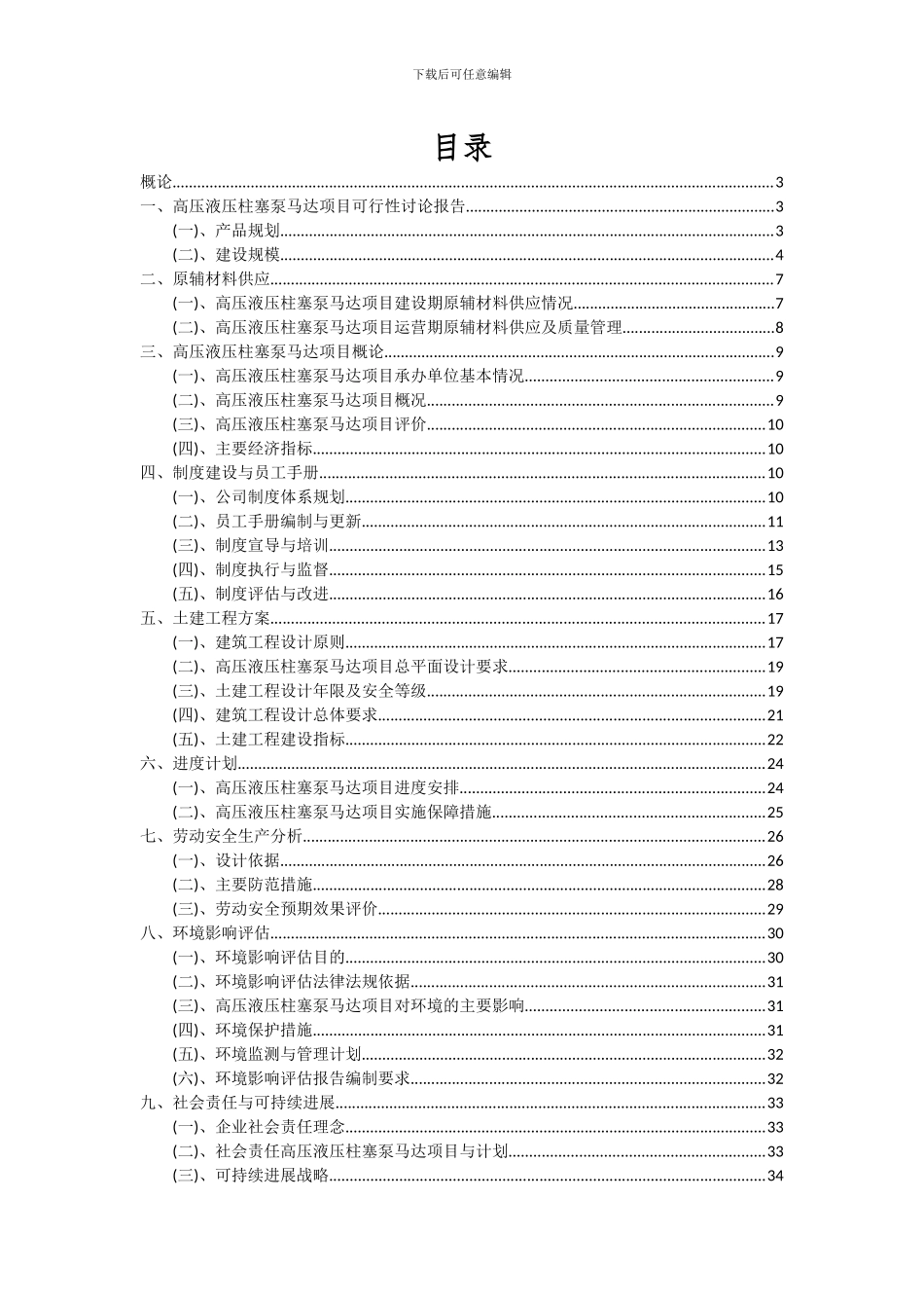 2024年高压液压柱塞泵马达项目可行性分析报告_第2页