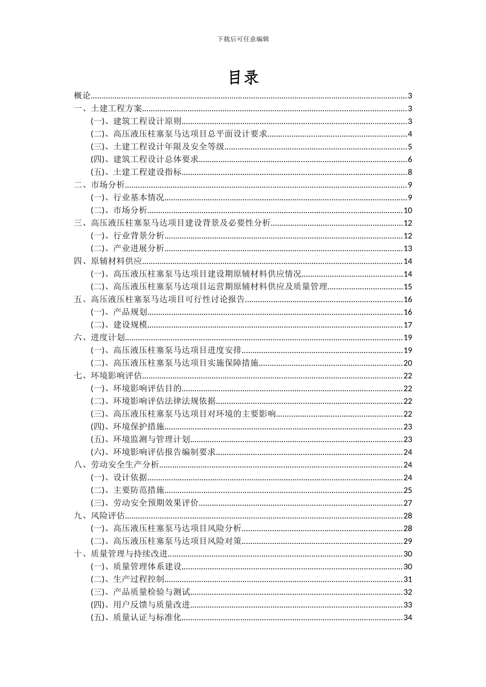 2024年高压液压柱塞泵马达项目可行性研究报告_第2页
