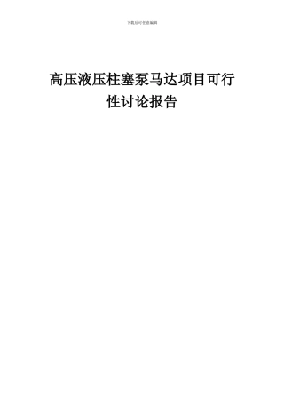 2024年高压液压柱塞泵马达项目可行性研究报告
