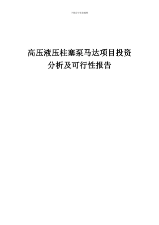 2024年高压液压柱塞泵马达项目投资分析及可行性报告