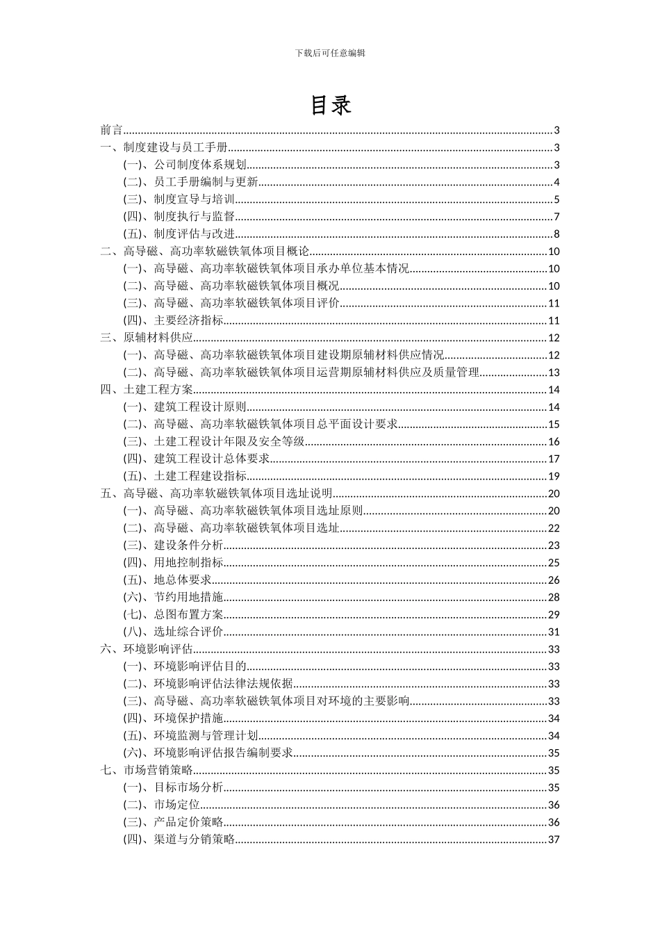 2024年高导磁、高功率软磁铁氧体项目深度研究分析报告_第2页