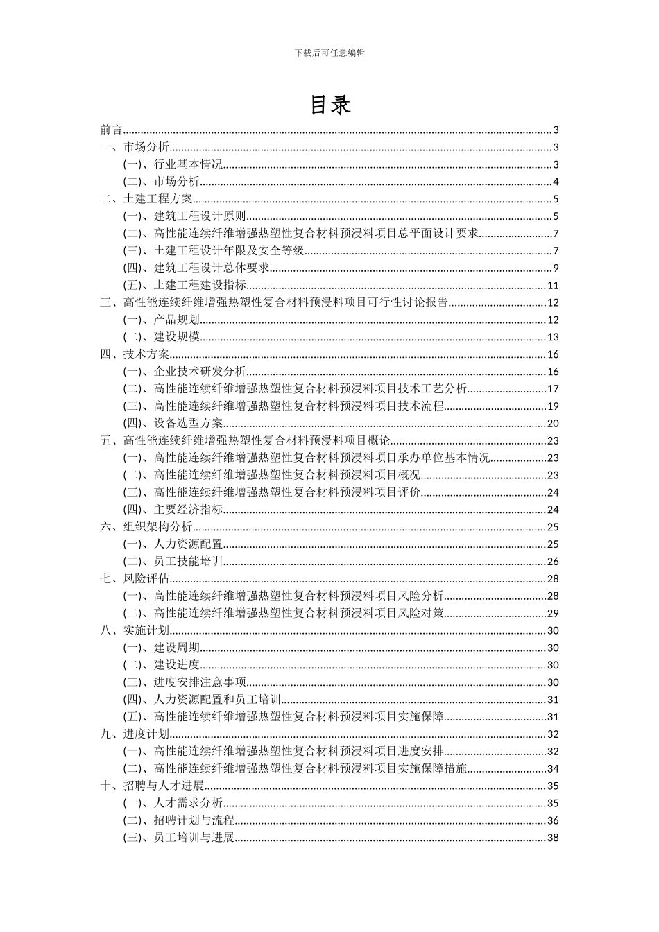 2024年高性能连续纤维增强热塑性复合材料预浸料项目可行性研究报告_第2页