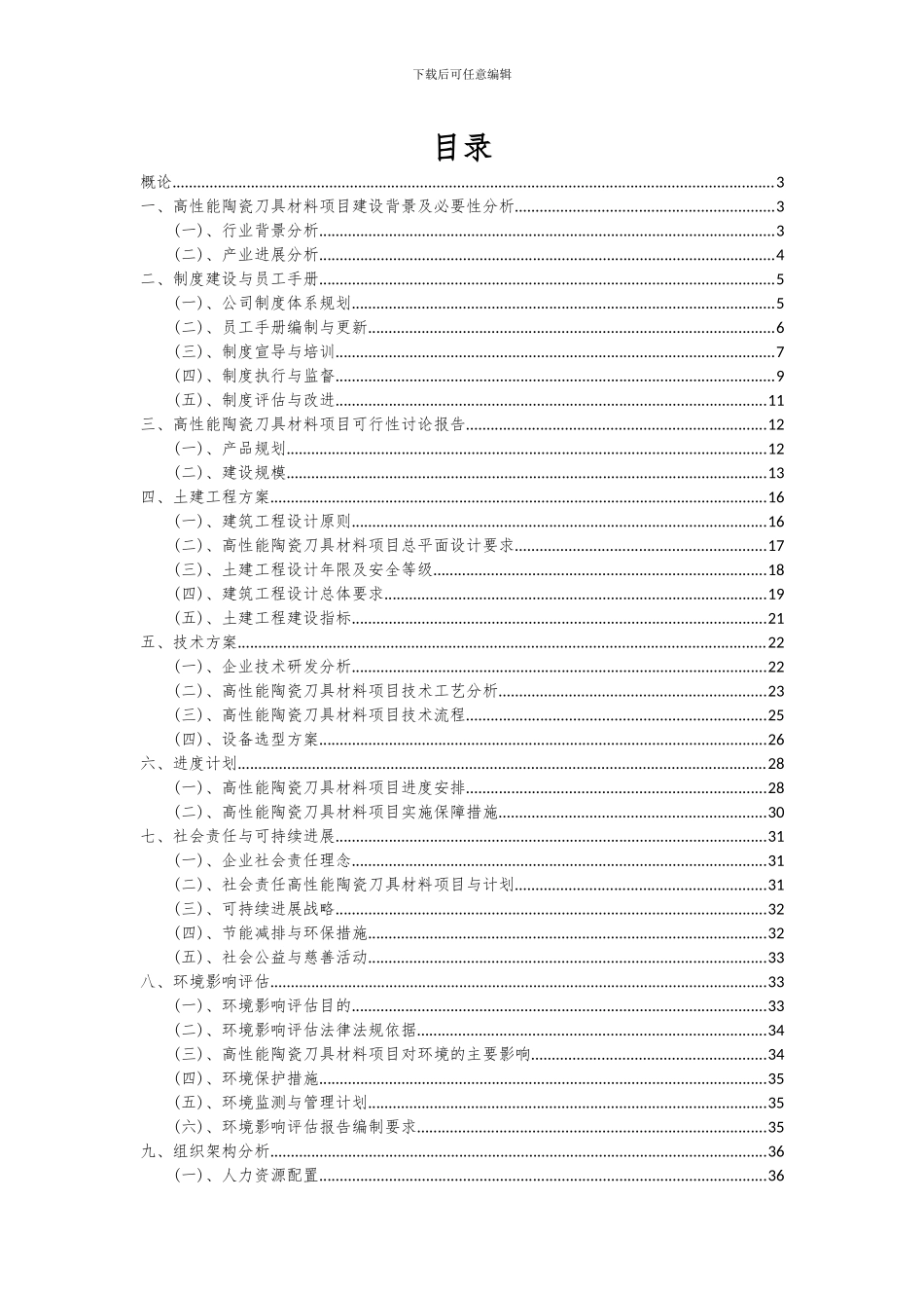 2024年高性能陶瓷刀具材料项目可行性分析报告_第2页
