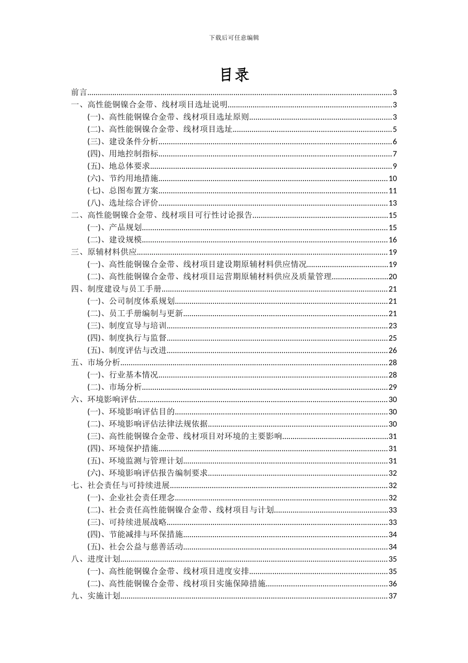 2024年高性能铜镍合金带、线材项目可行性分析报告_第2页