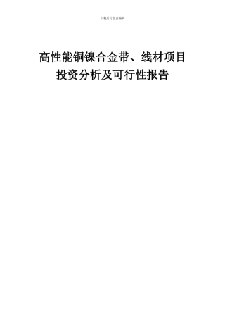 2024年高性能铜镍合金带、线材项目投资分析及可行性报告