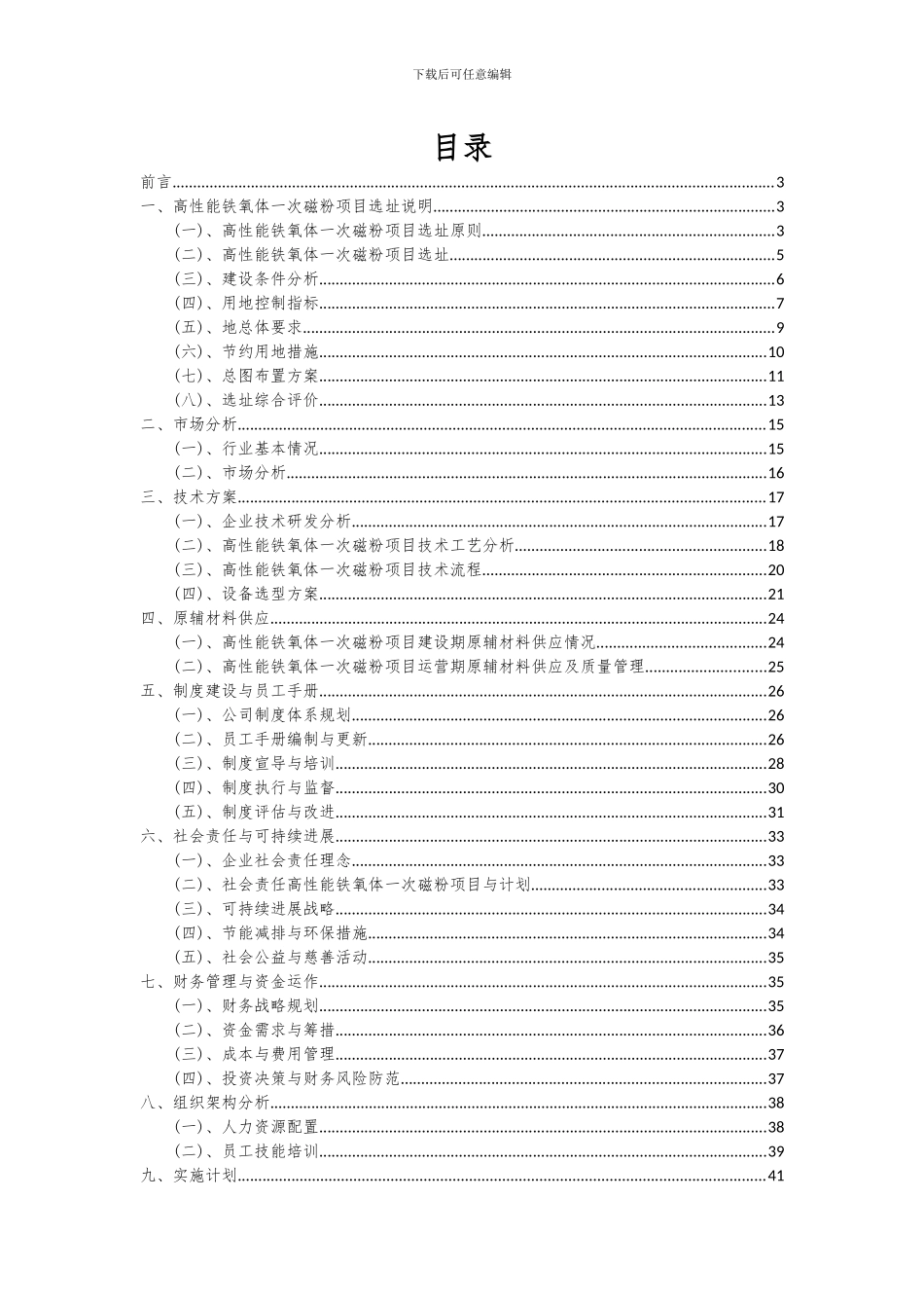 2024年高性能铁氧体一次磁粉项目投资分析及可行性报告_第2页