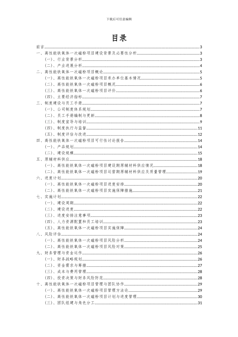 2024年高性能铁氧体一次磁粉项目可行性分析报告_第2页