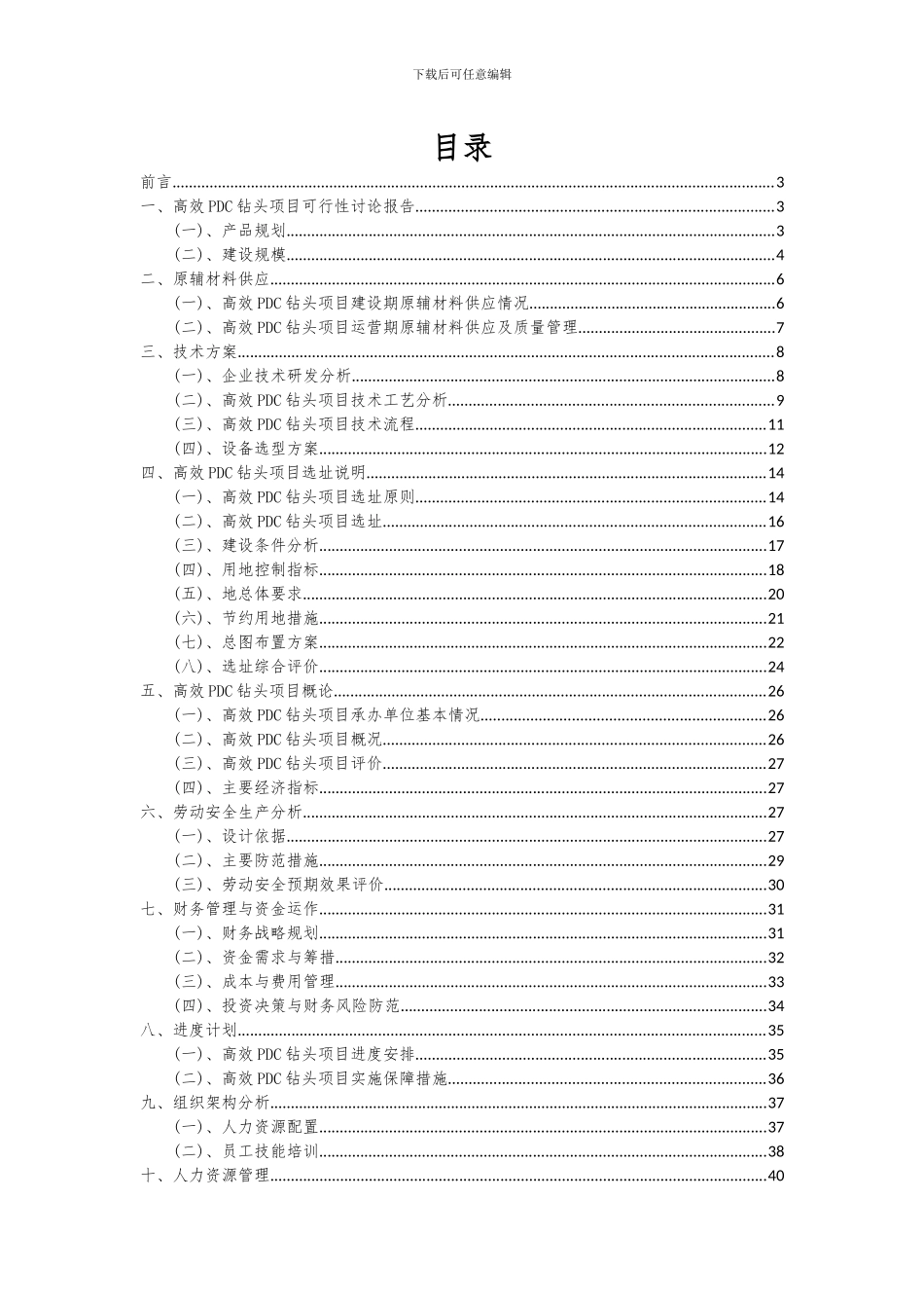 2024年高效PDC钻头项目可行性研究报告_第2页