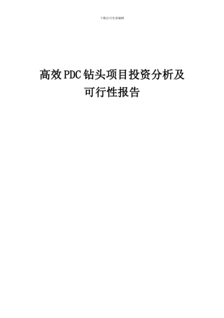 2024年高效PDC钻头项目投资分析及可行性报告