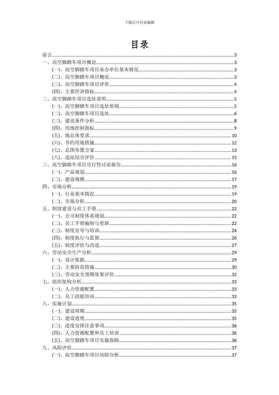 2024年高空脚踏车项目深度研究分析报告_第2页