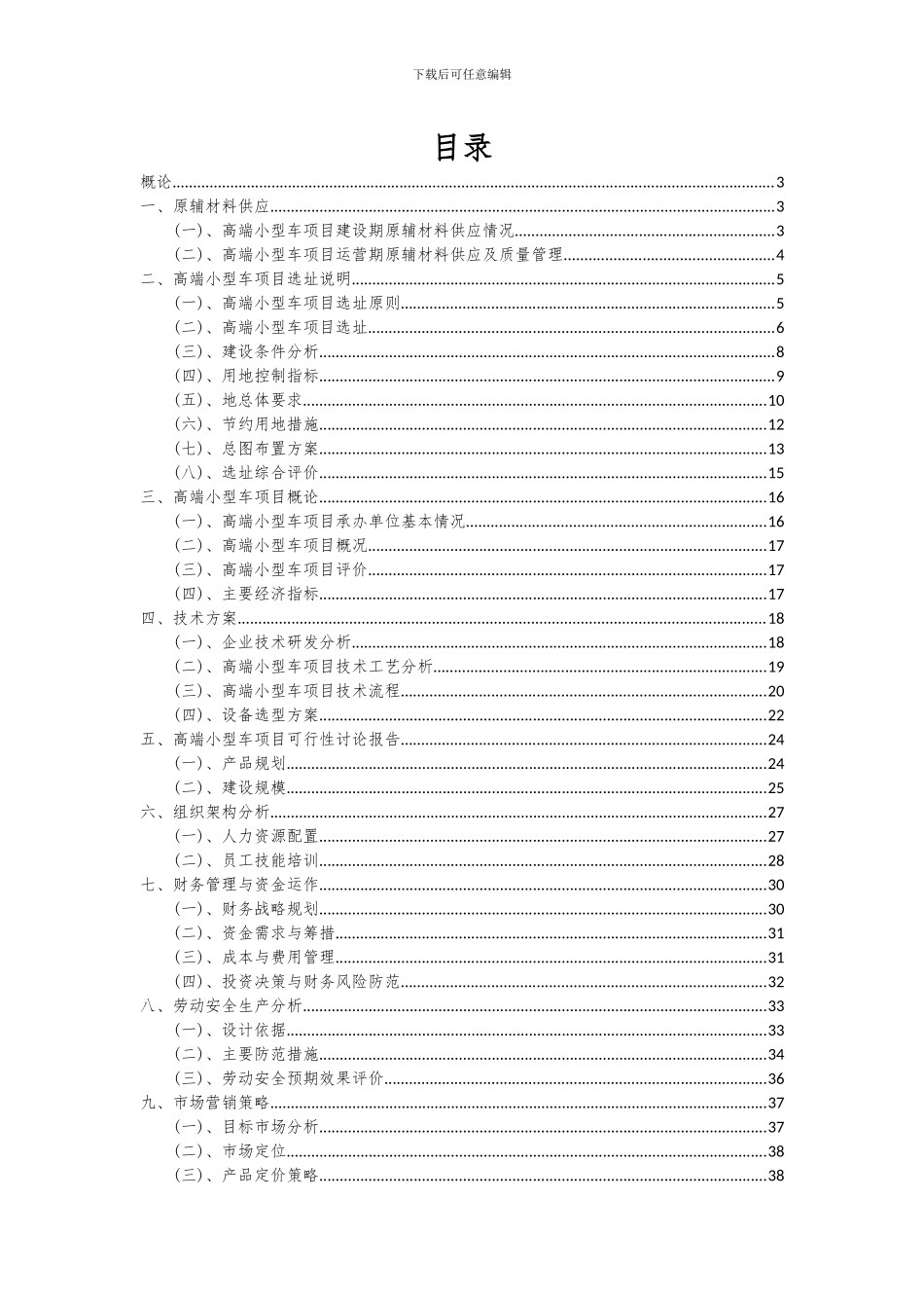 2024年高端小型车项目投资分析及可行性报告_第2页