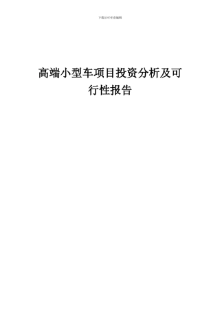 2024年高端小型车项目投资分析及可行性报告
