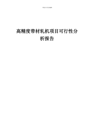 2024年高精度带材轧机项目可行性分析报告