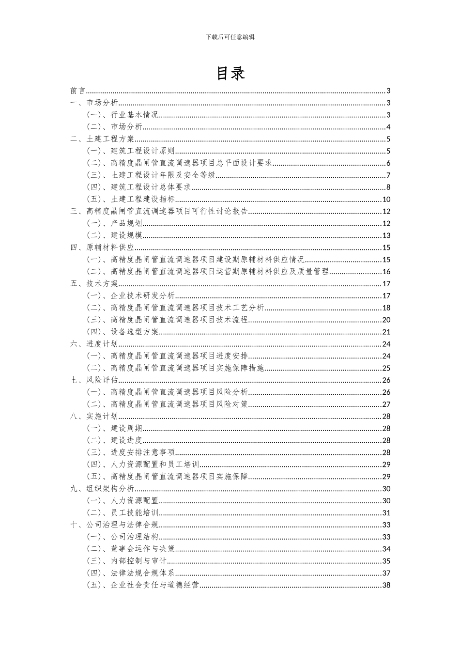 2024年高精度晶闸管直流调速器项目可行性分析报告_第2页