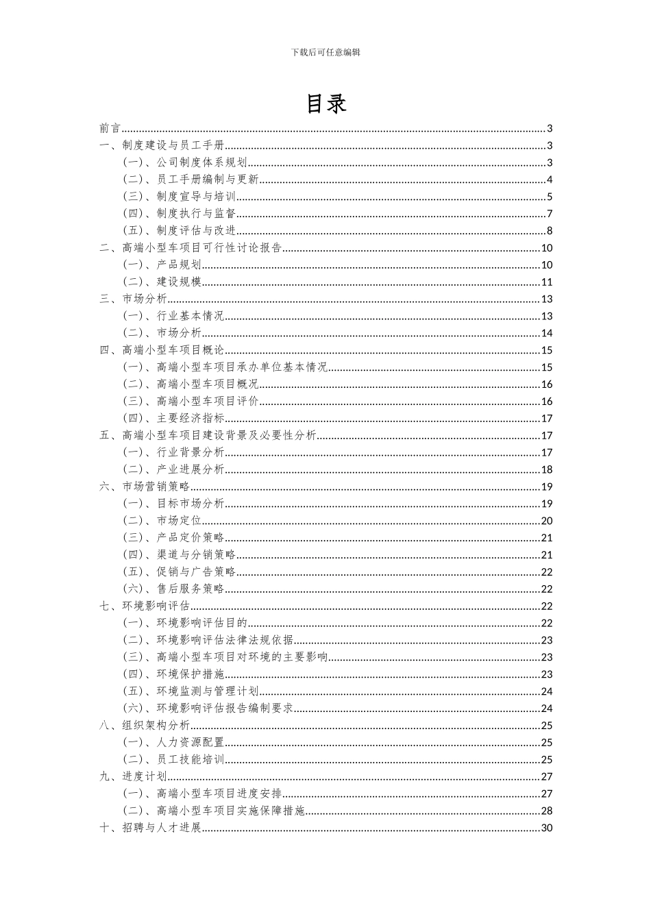 2024年高端小型车项目可行性分析报告_第2页