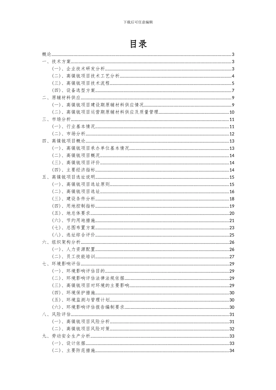 2024年高镍锍项目投资分析及可行性报告_第2页