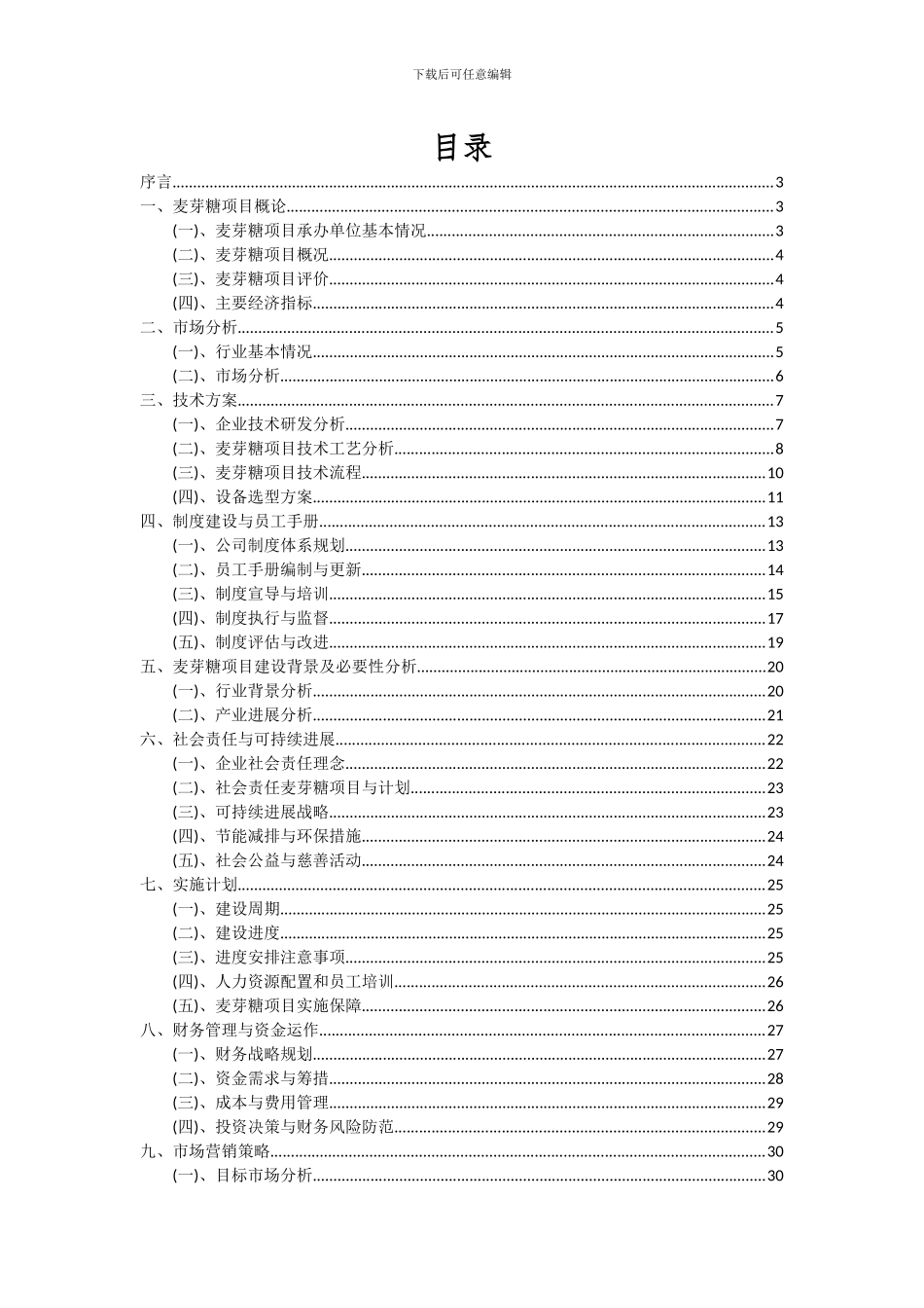 2024年麦芽糖项目深度研究分析报告_第2页