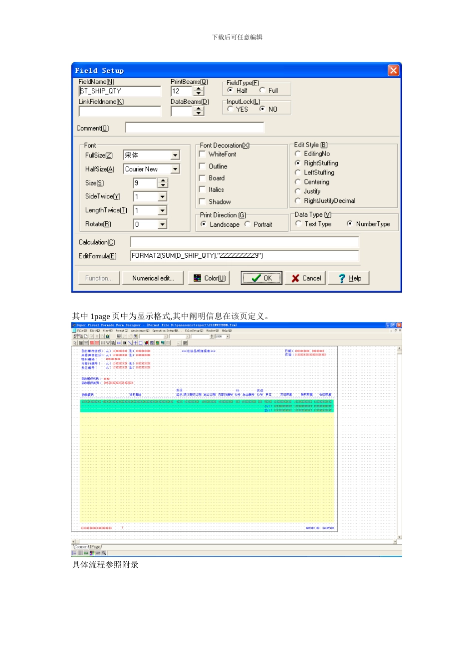 SVF报表开发说明_第2页