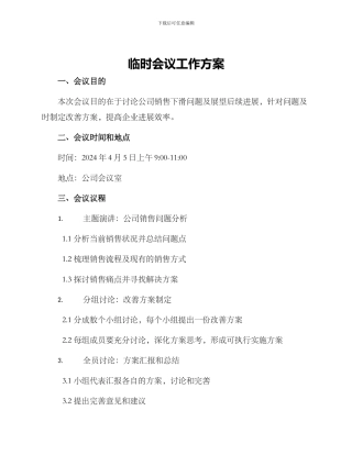 临时会议工作方案