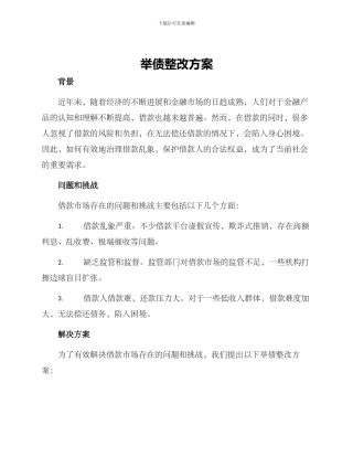 举债整改方案