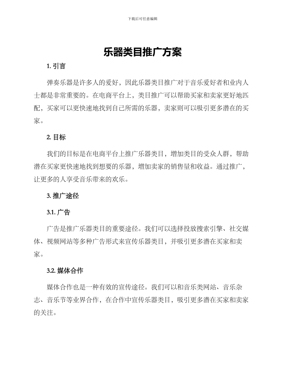乐器类目推广方案_第1页