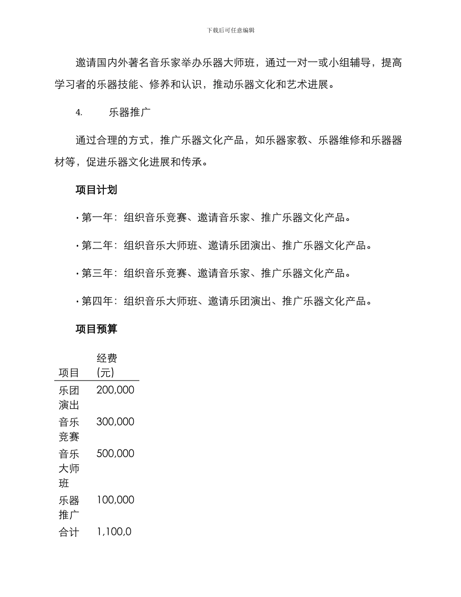 乐器项目策划方案_第2页