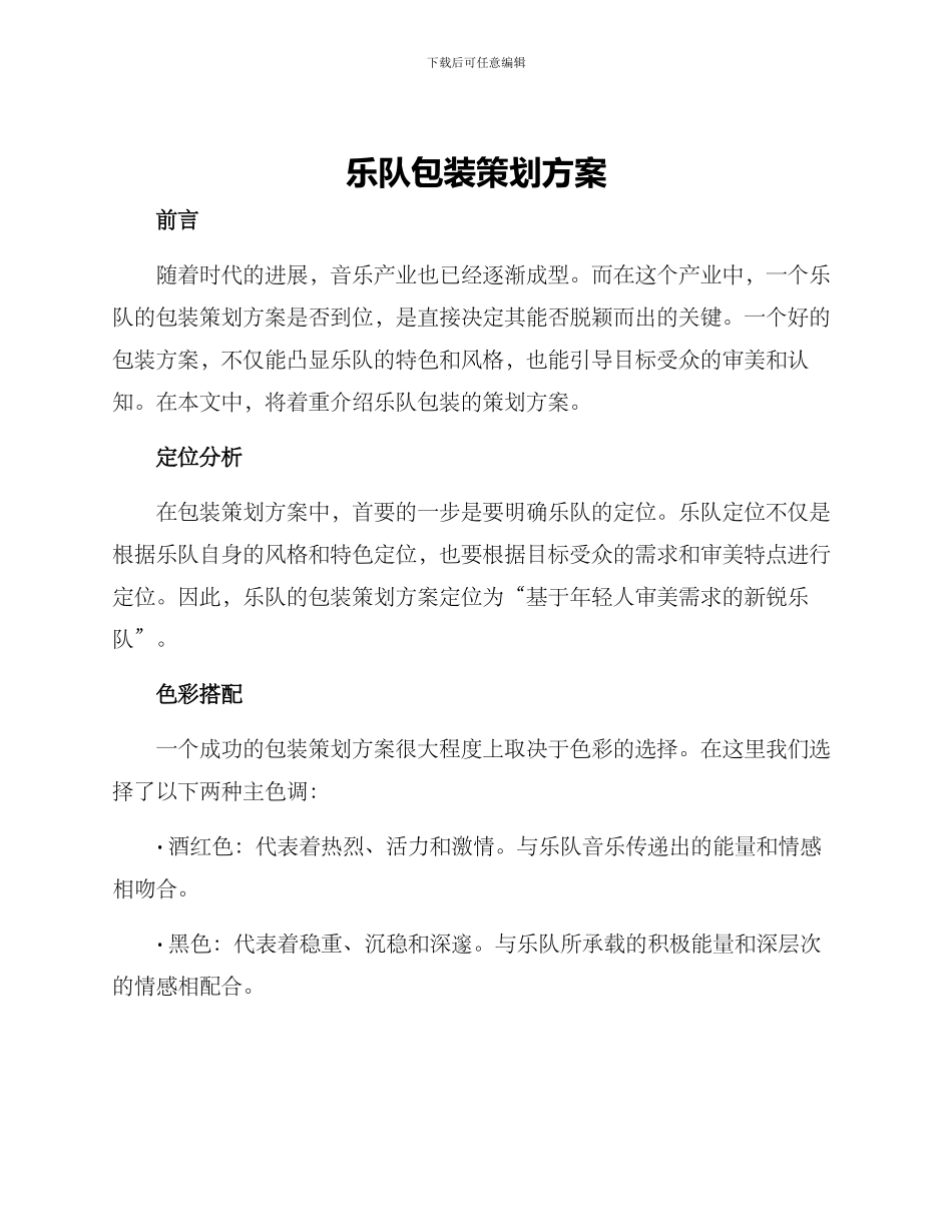 乐队包装策划方案_第1页