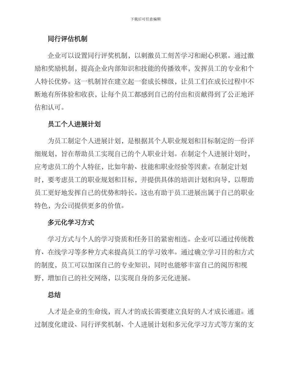 人才成长通道搭建方案_第2页