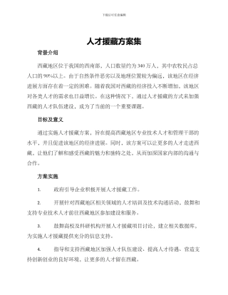 人才援藏方案集