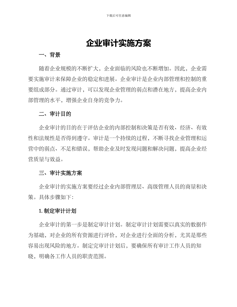 企业审计实施方案_第1页