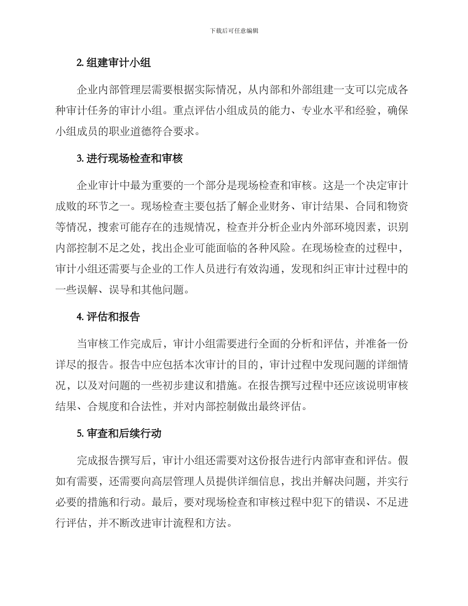 企业审计实施方案_第2页