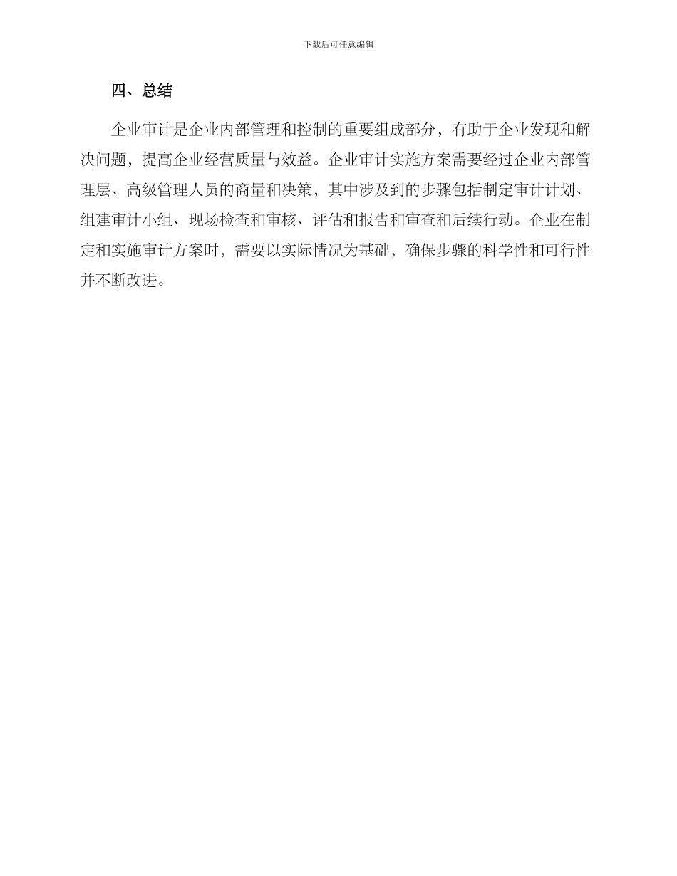 企业审计实施方案_第3页