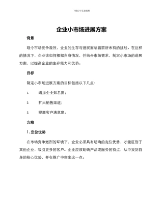 企业小市场发展方案