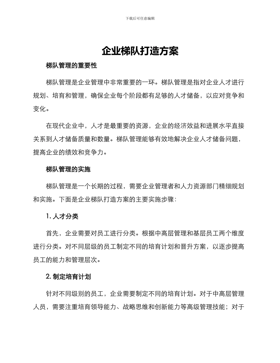 企业梯队打造方案_第1页