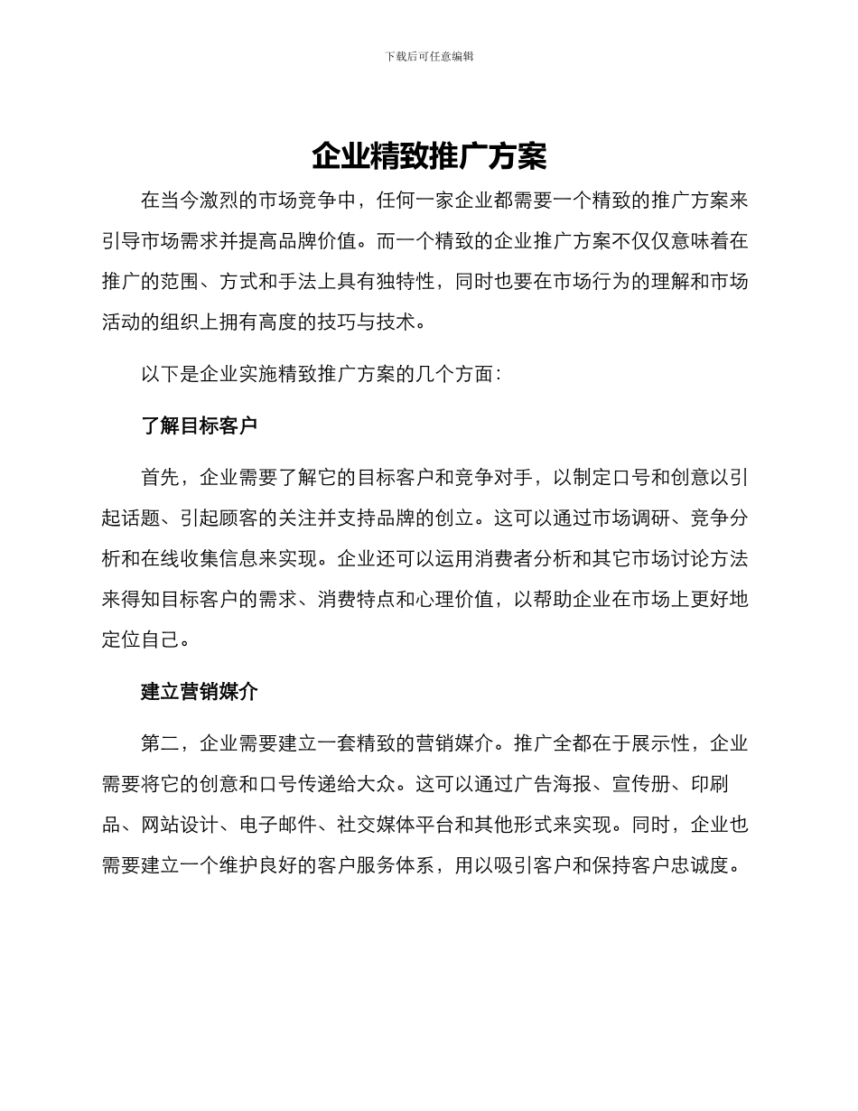 企业精致推广方案_第1页