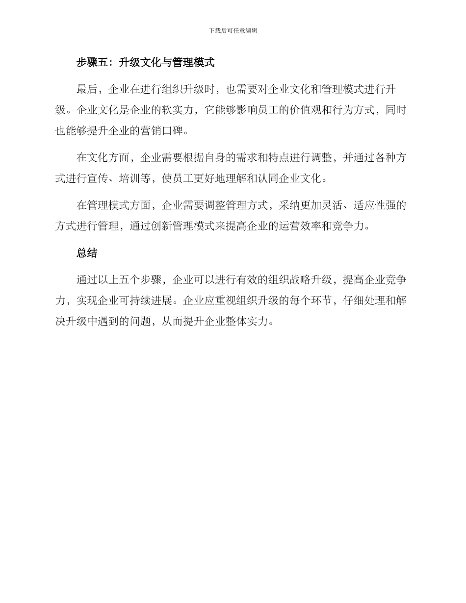 企业组织战略升级方案_第3页