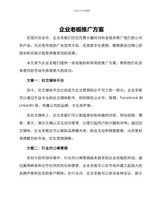 企业老板推广方案