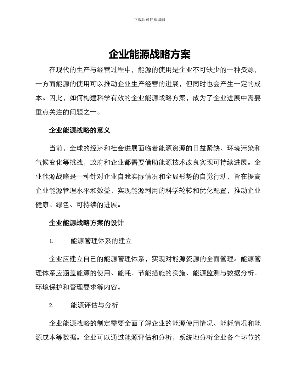 企业能源战略方案_第1页