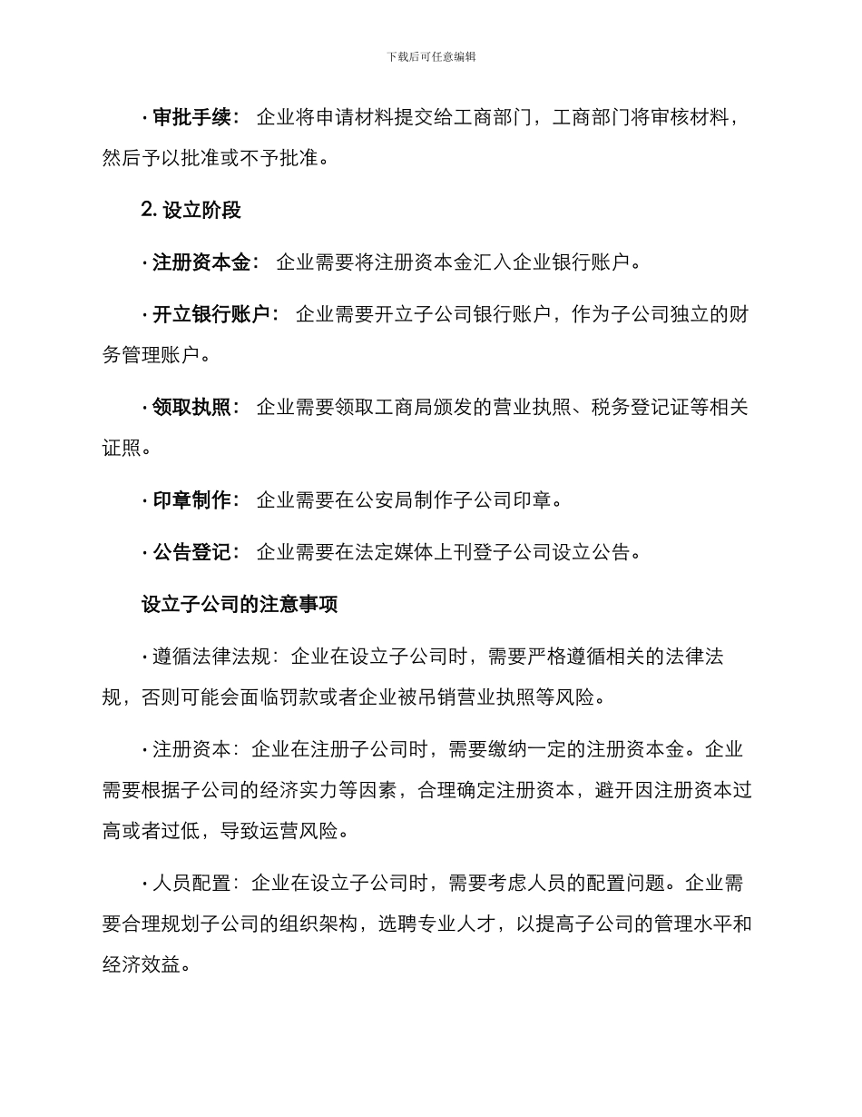 企业设立子公司方案_第2页