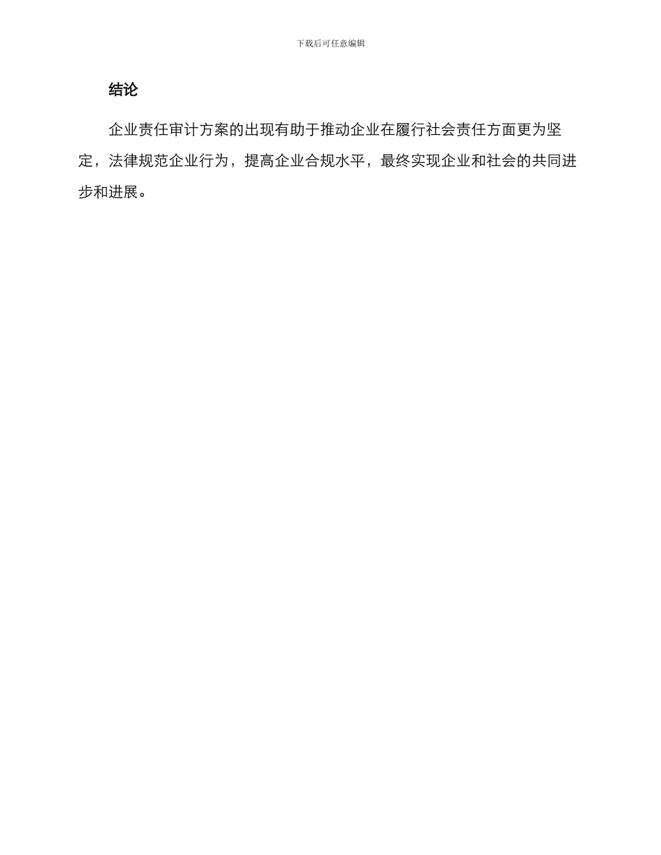 企业责任审计方案_第3页