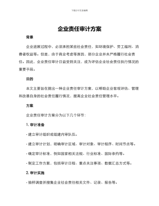 企业责任审计方案