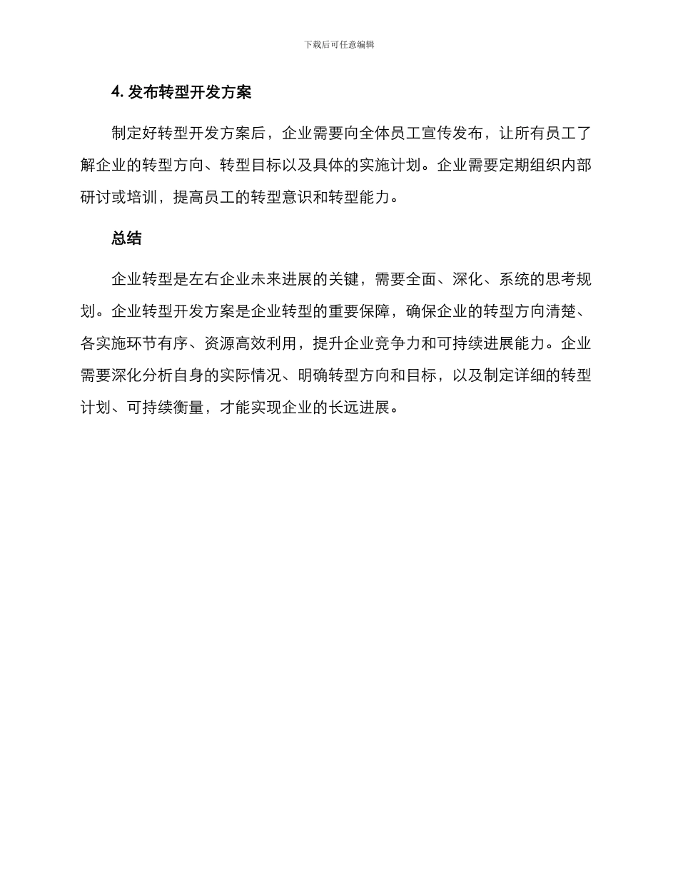 企业转型开发方案_第3页