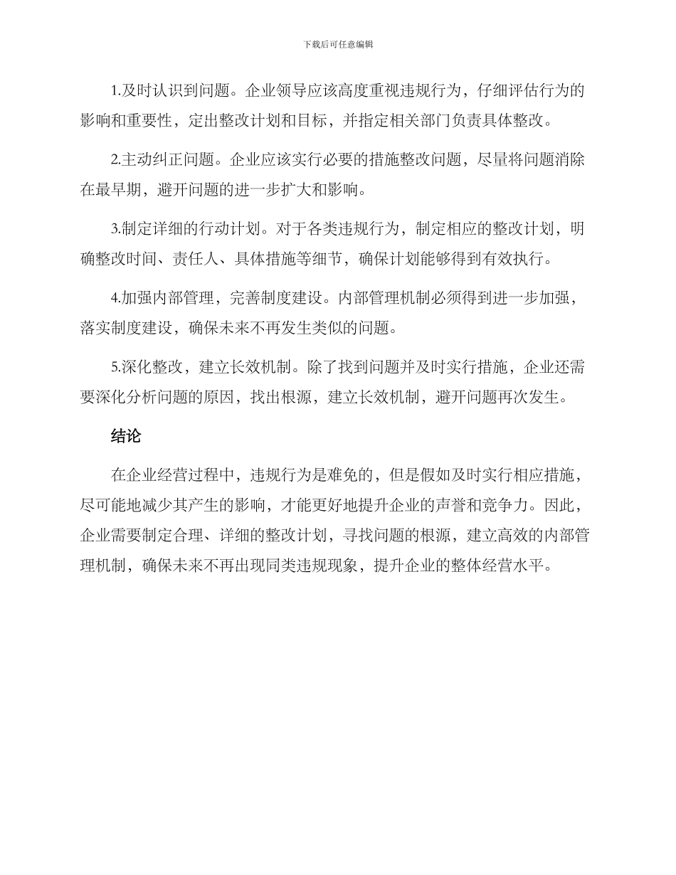 企业违规整改方案_第2页